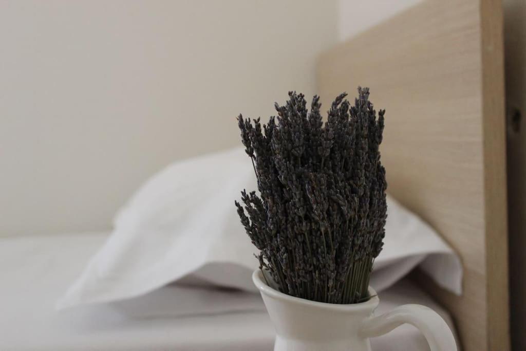 Lavandula Ring Tirana Exteriör bild