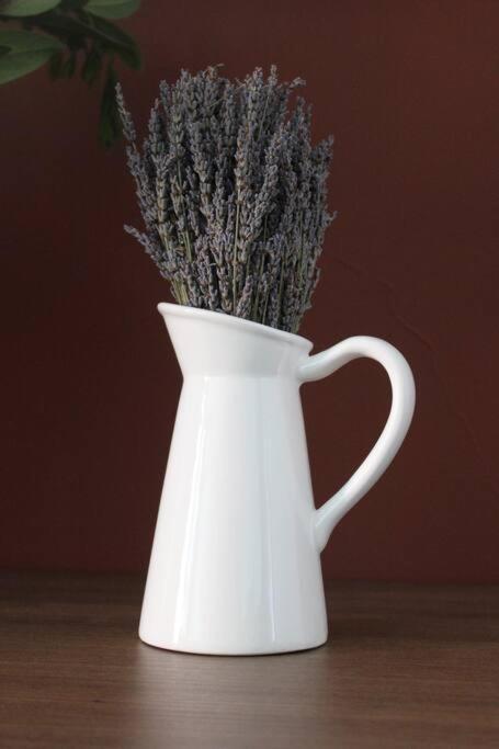 Lavandula Ring Tirana Exteriör bild
