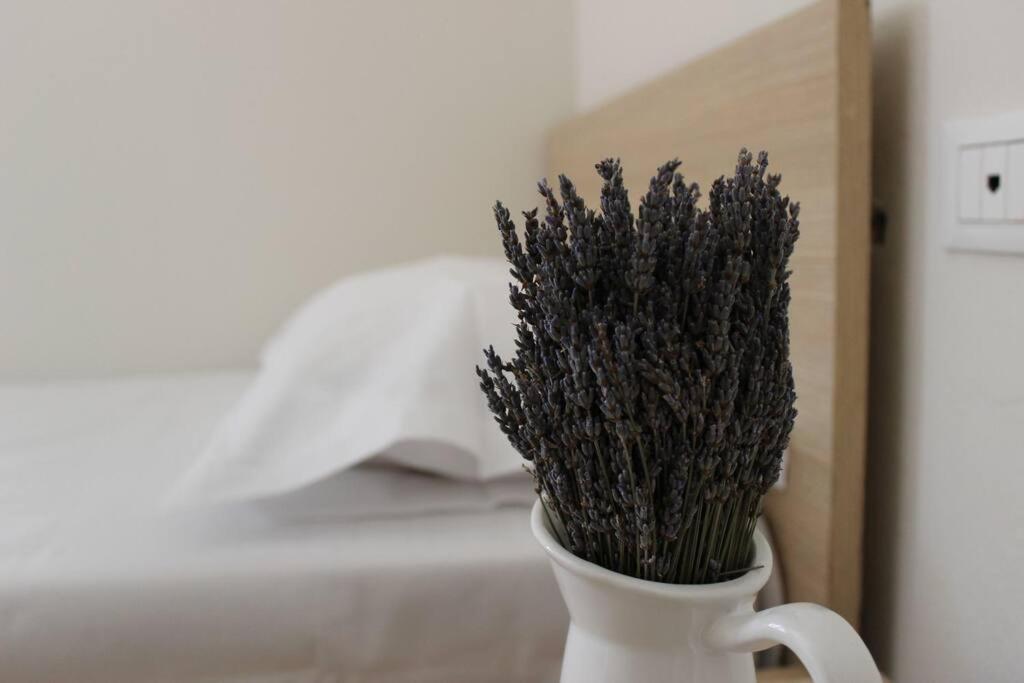 Lavandula Ring Tirana Exteriör bild